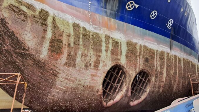 Fouling growth on a ship showing ship hull management is needed