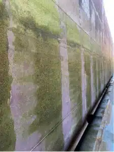 Striped pattern of non-fouled coating/fouled coating